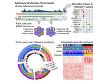 Publication page for "Integrated Genomic Characterization of Pancreatic Ductal Adenocarcinoma"