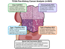Publication page for "The Cancer Genome Atlas Comprehensive Molecular Characterization of Renal Cell Carcinoma"