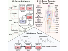 Publication page for "Oncogenic Signaling Pathways in The Cancer Genome Atlas"