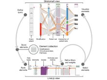 Publication page for "Guided Visual Exploration of Genomic Stratifications in Cancer"