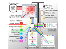 Publication page for "The Immune Landscape of Cancer"