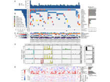 Publication page for "Integrated Molecular Characterization of Uterine Carcinosarcoma"