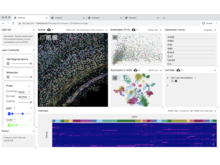 Publication page for "Vitessce: a framework for integrative visualization of multi-modal and spatially-resolved single-cell data"
