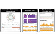Publication page for "GQVis: A Dataset of Genomics Data Questions and Visualizations for Generative AI"