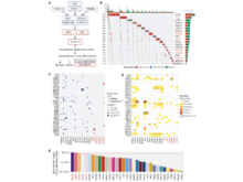Publication page for "Comprehensive Molecular Characterization of the Hippo Signaling Pathway in Cancer"