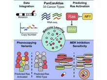 Publication page for "Machine Learning Detects Pan-cancer Ras Pathway Activation in The Cancer Genome Atlas"