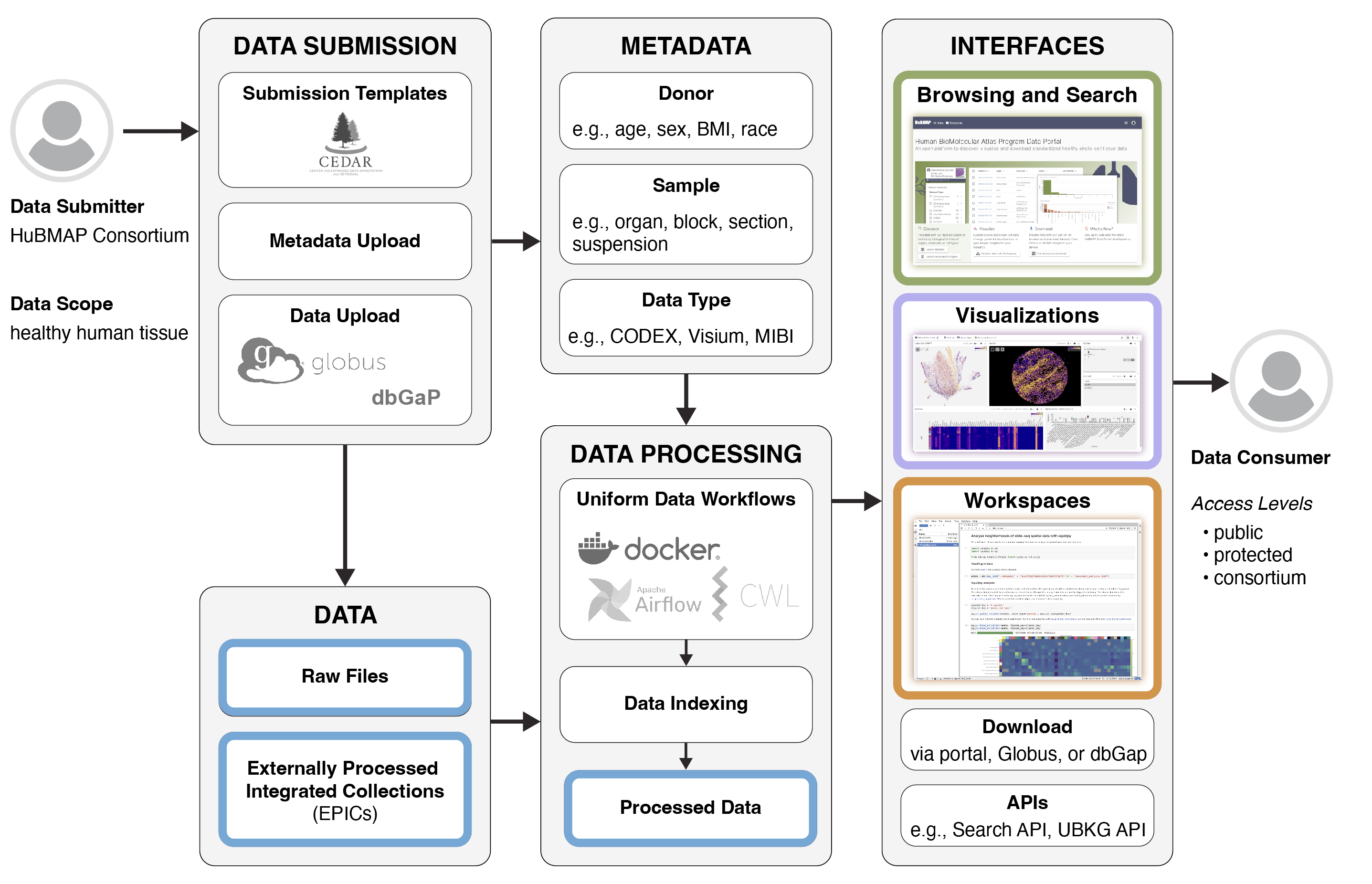 Schematic of data flow, with data submitter on left and data consumer on right. In between, arrows flow from data ingestion (data submission and data processing) to resources (metadata and data) to interfaces (browsing and search, visualizations, workspaces, download, and APIs). Data, Browsing and Search, Visualizations, and Workspaces are highlighted with color.