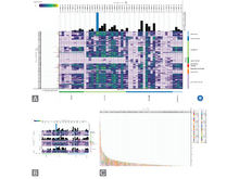Publication page for "scellop: A Scalable Redesign of Cell Population Plots for Single-Cell Data"